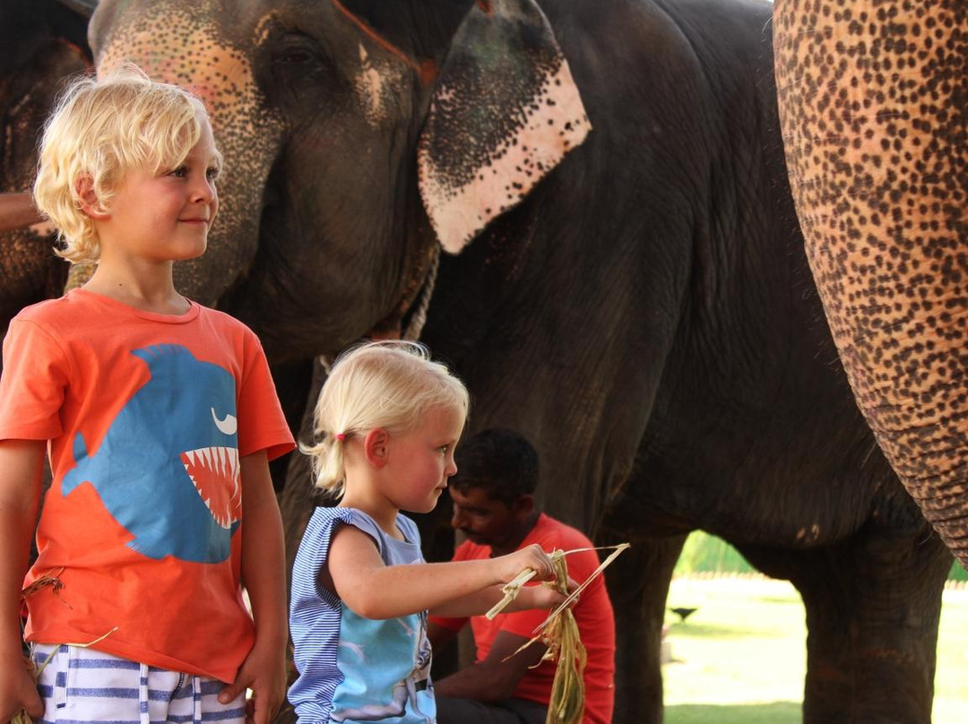 大象奇迹观光农场-斋蒲尔必去景点