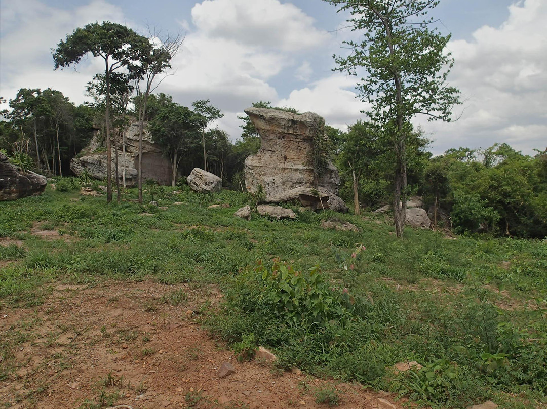 Nam Phong National Park景点图片