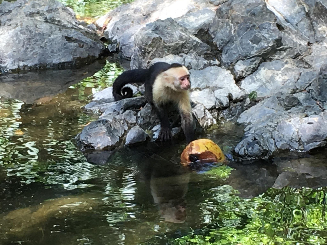 Costa Rica Day Trips景点图片