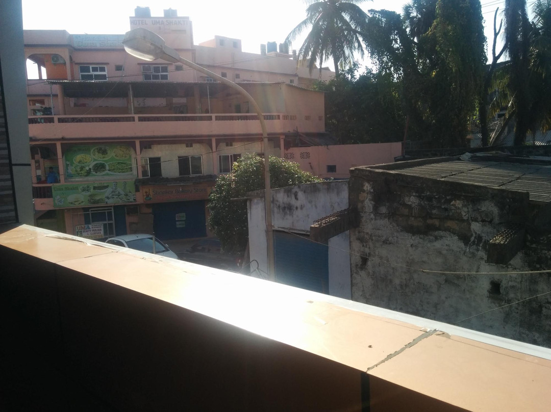 Golden Paying Guest House主图