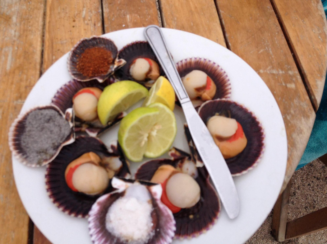 Bahia Inglesa餐馆和美食-Ostiones Vivos