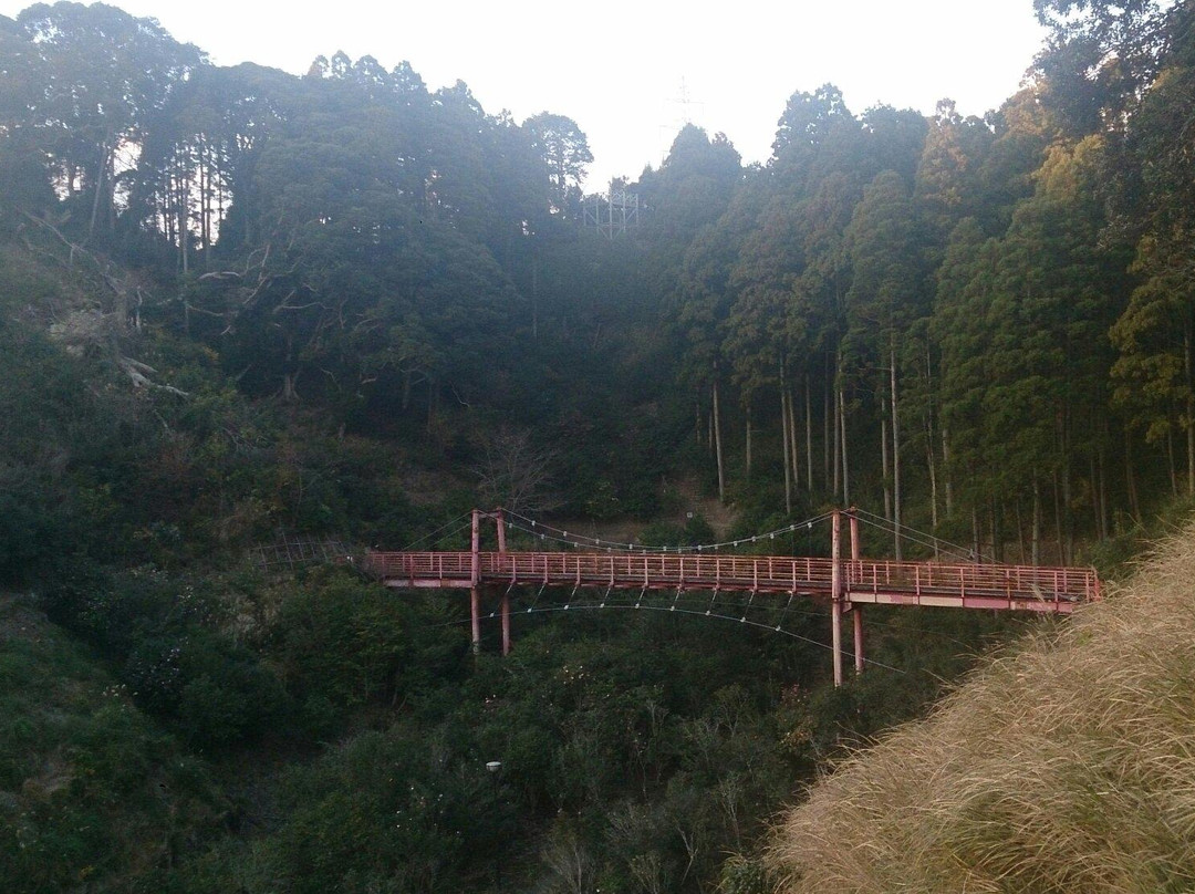 Tsubaki Park-夷隅市必去景点