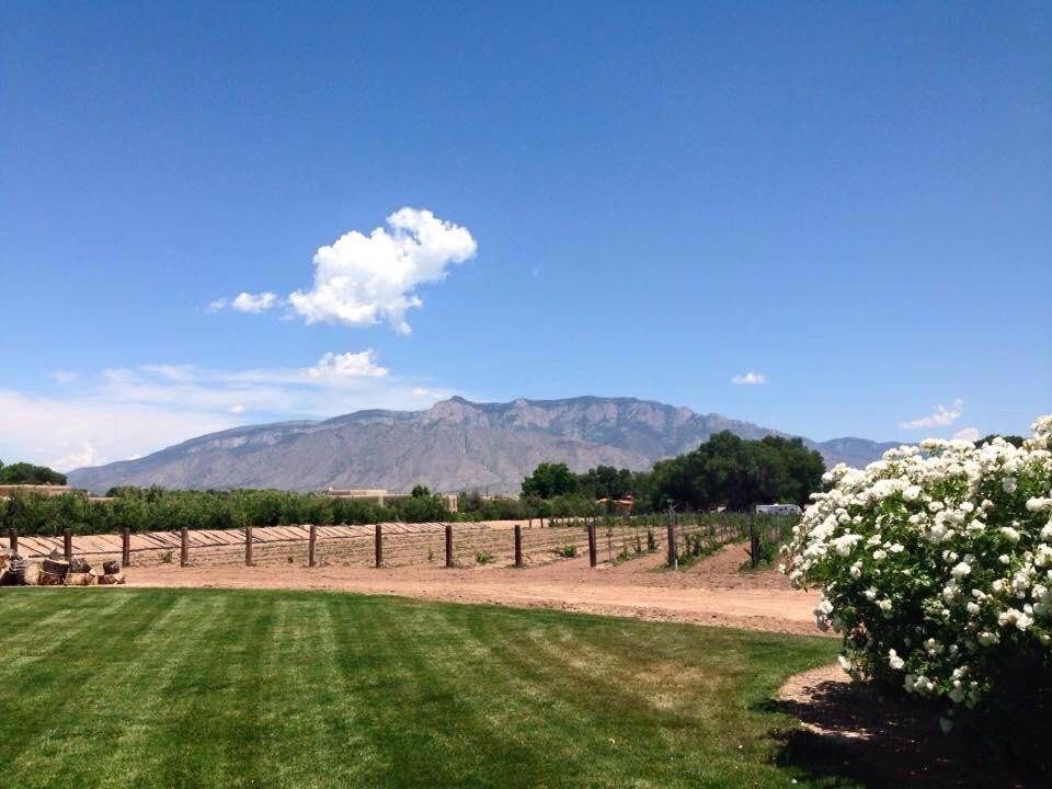 Corrales Winery-科拉雷斯必去景点