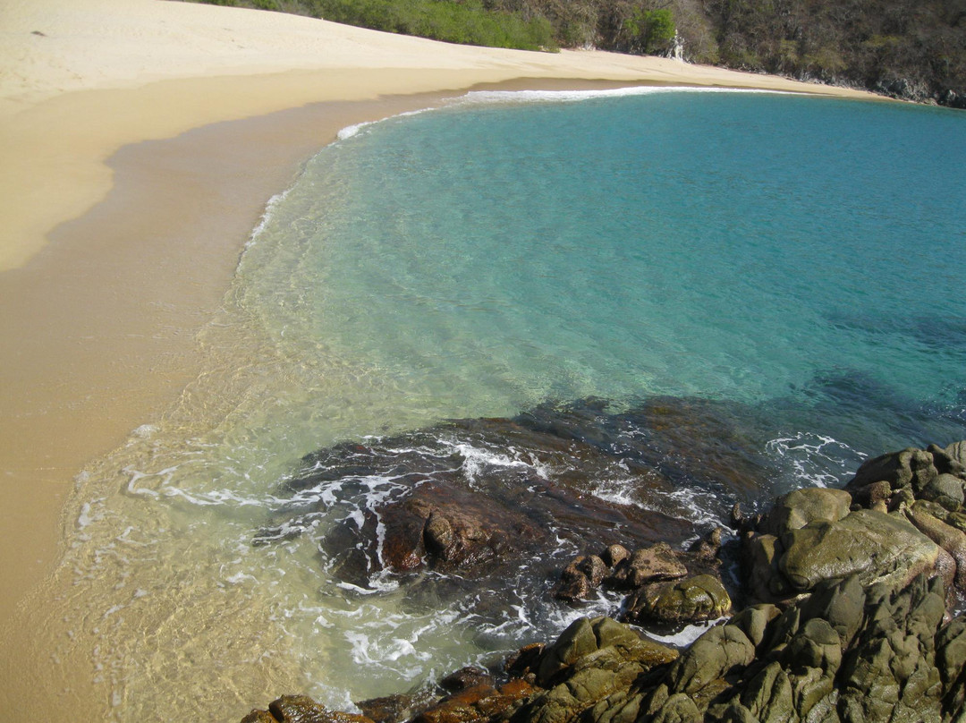 Playa Organo-瓦图尔科必去景点