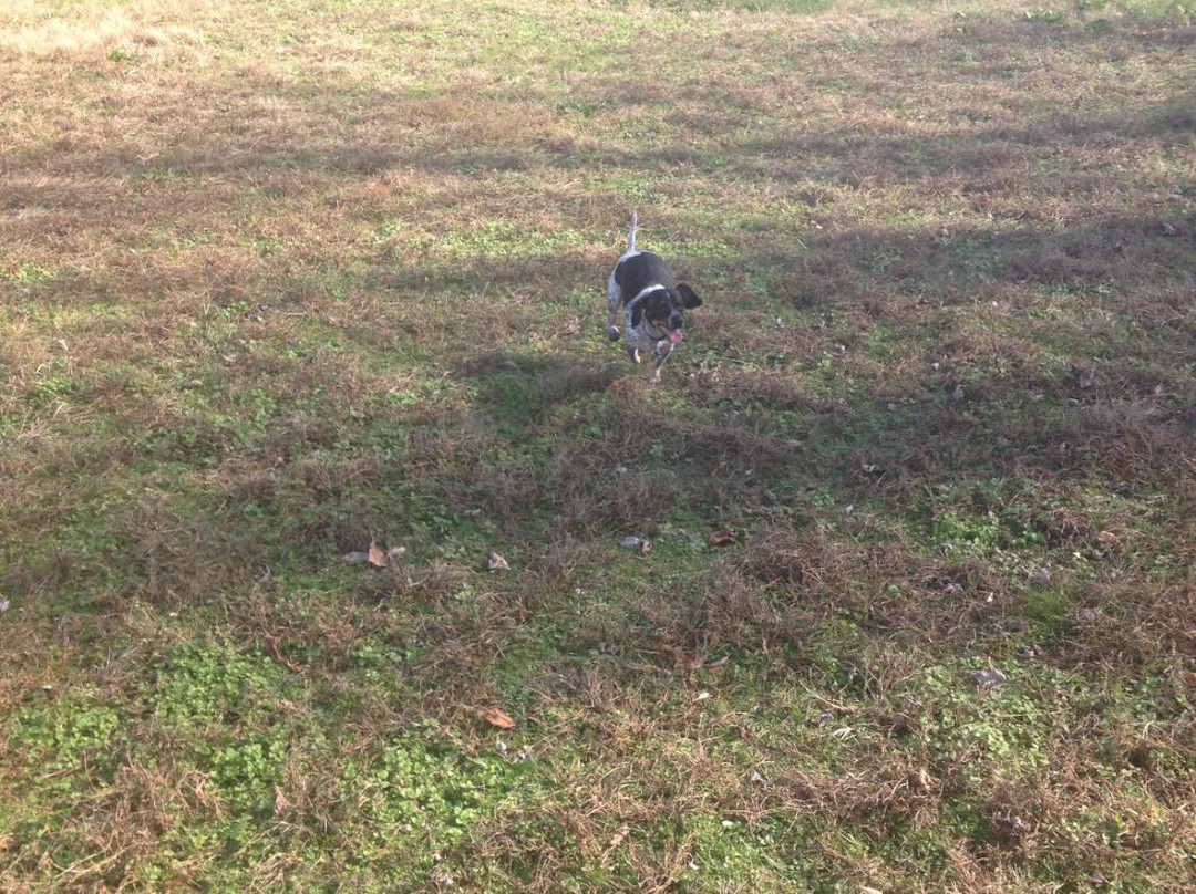 Jones Point Lighthouse-亚历山德里亚必去景点