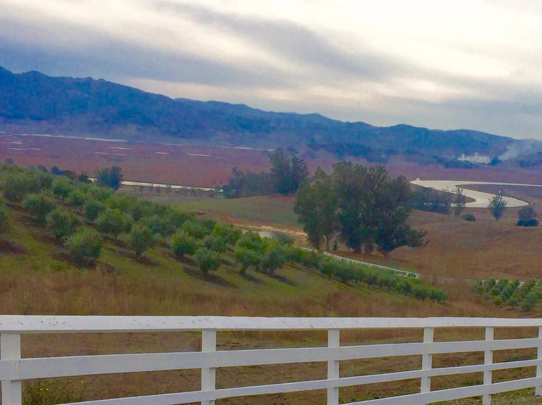 Keller Estate Winery景点图片