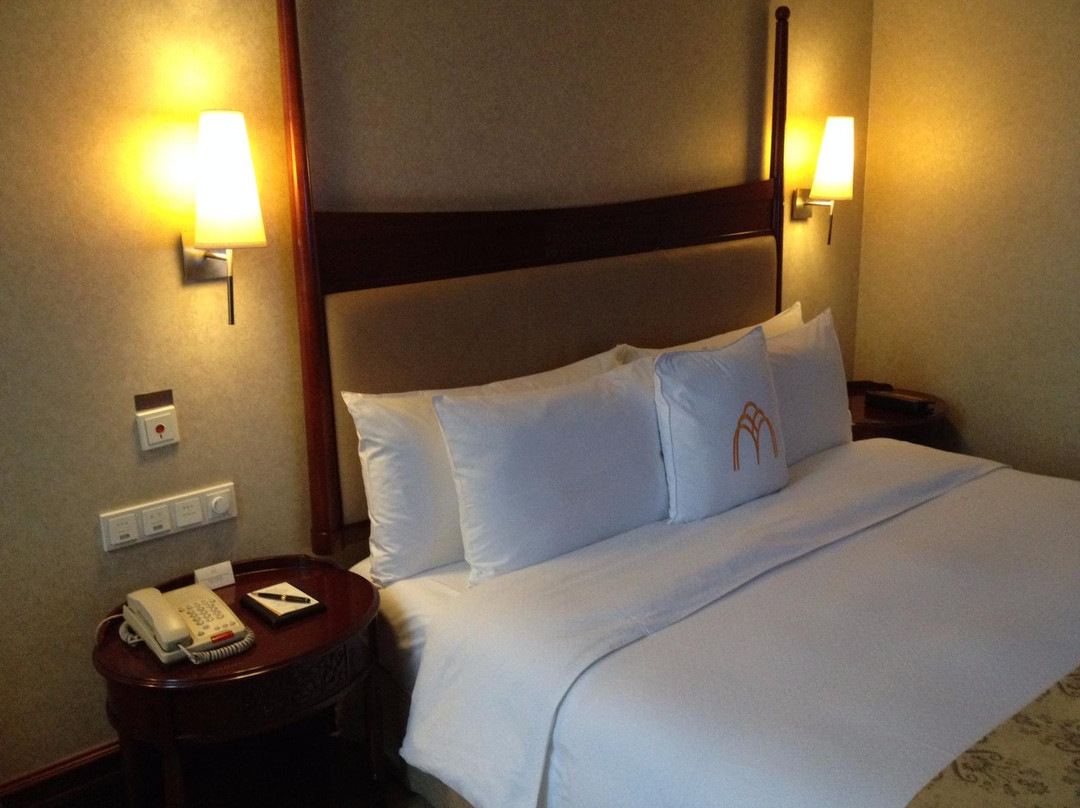 歌德大酒店主图