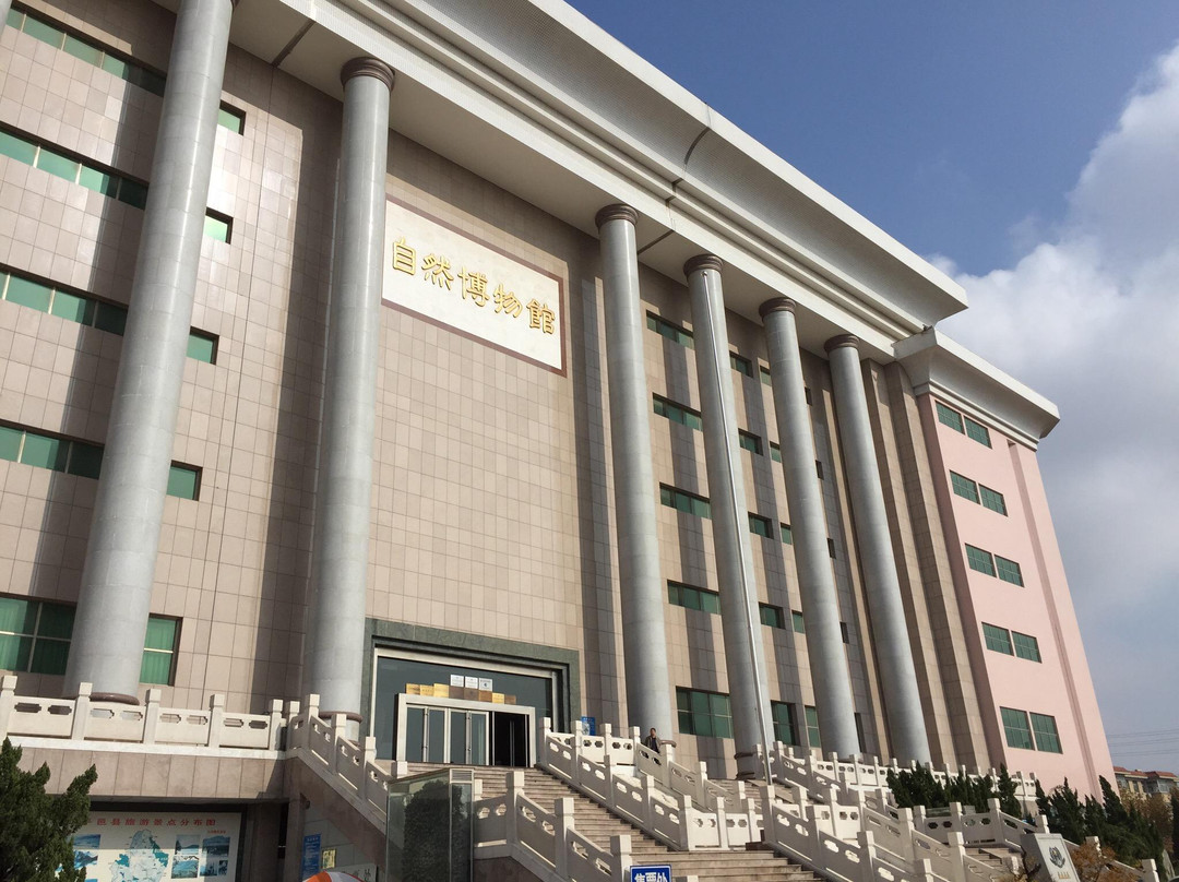 临沂天宇自然博物馆-平邑县必去景点