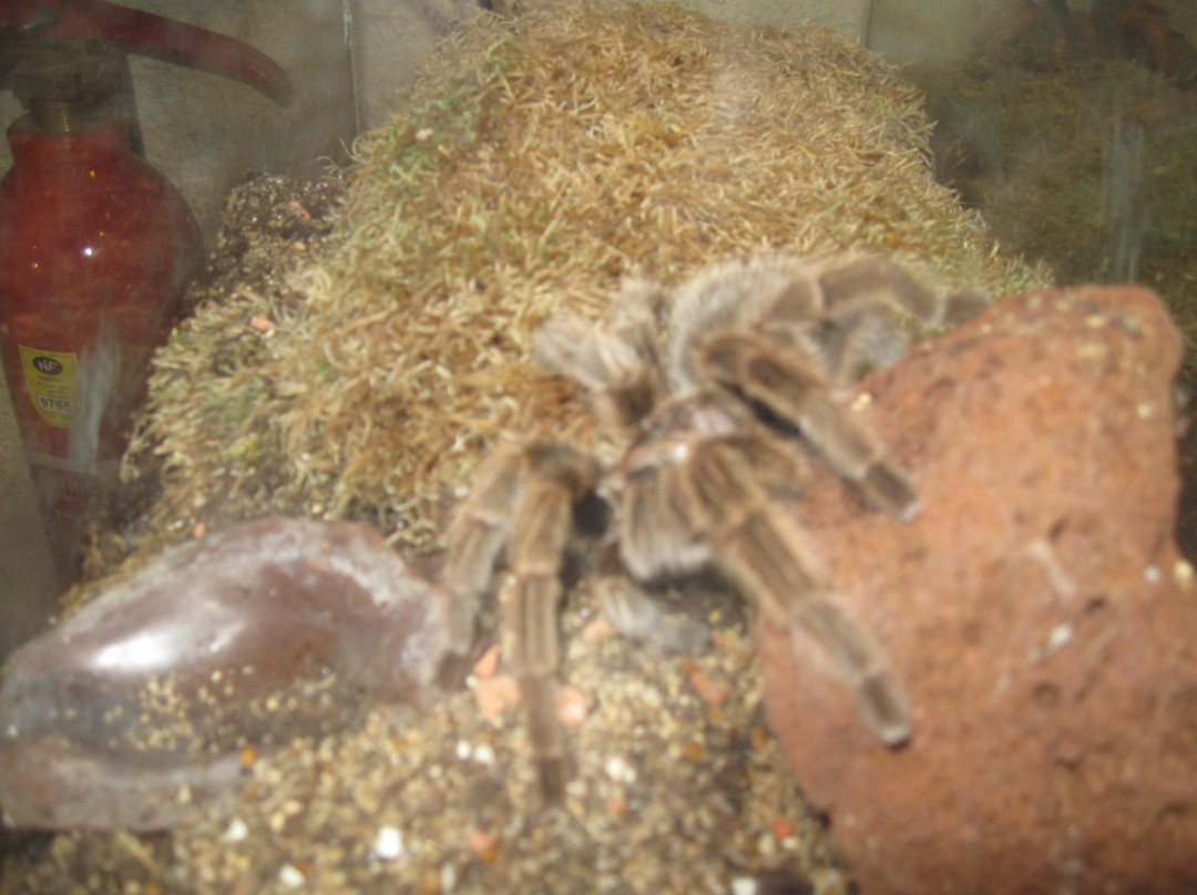 Vivarium du Moulin景点图片