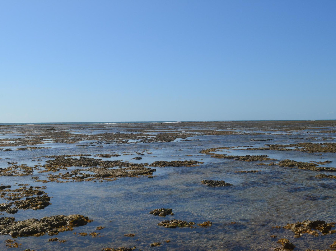 Recife de Corais de Guaratiba-Prado必去景点