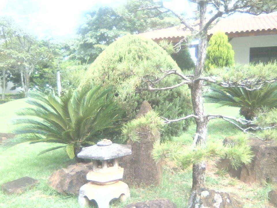 Igreja Tenrikyo de Dendotyo do Brasil景点图片