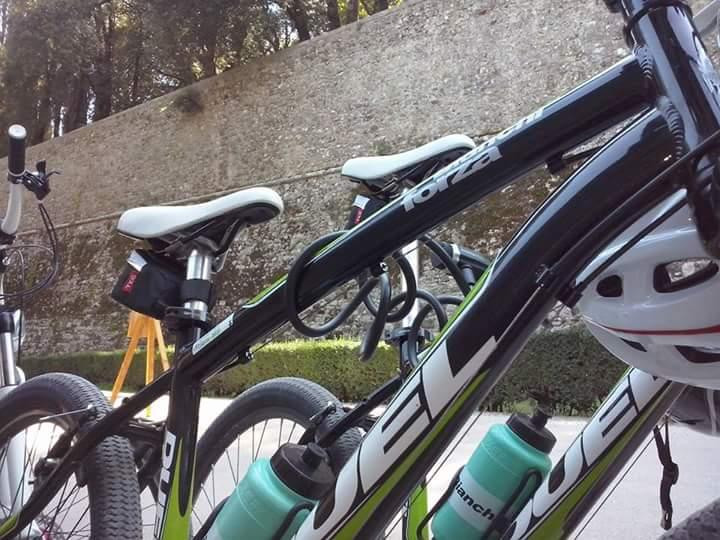 Siena Bike Rentals-锡耶纳必去景点