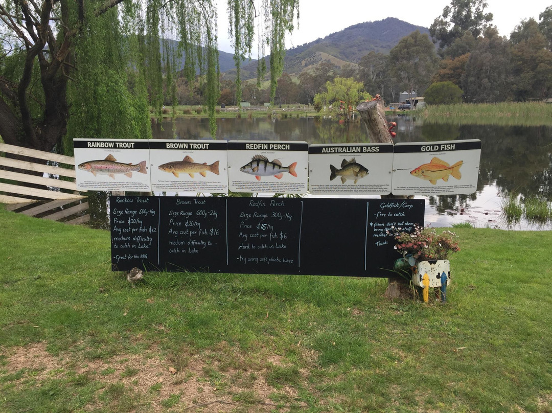 Eildon Trout Farm-Thornton必去景点