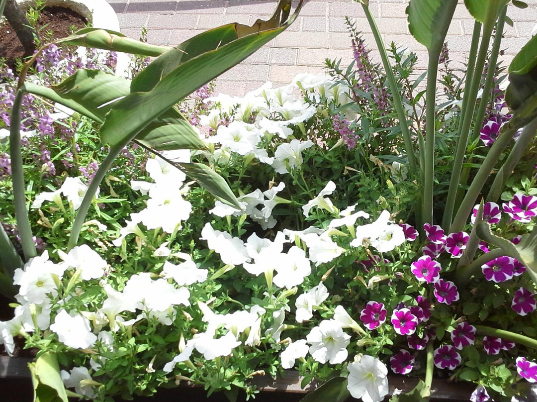 Rothschild Mansion主图