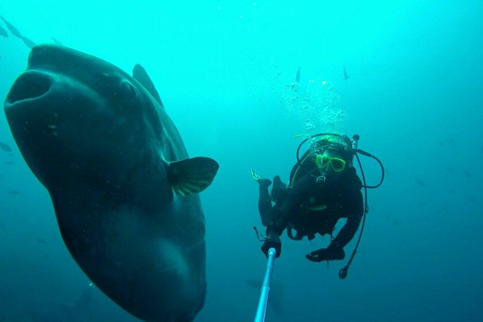 divedivedivebali-沙努尔必去景点