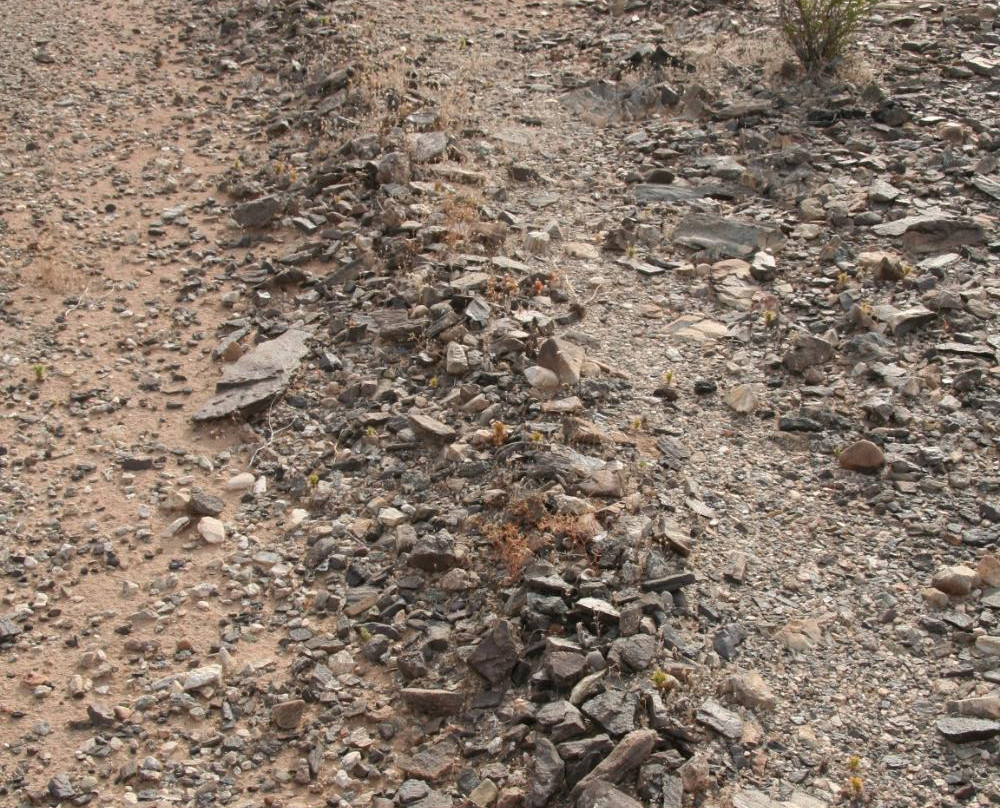 Mystic Maze-尼德尔斯必去景点