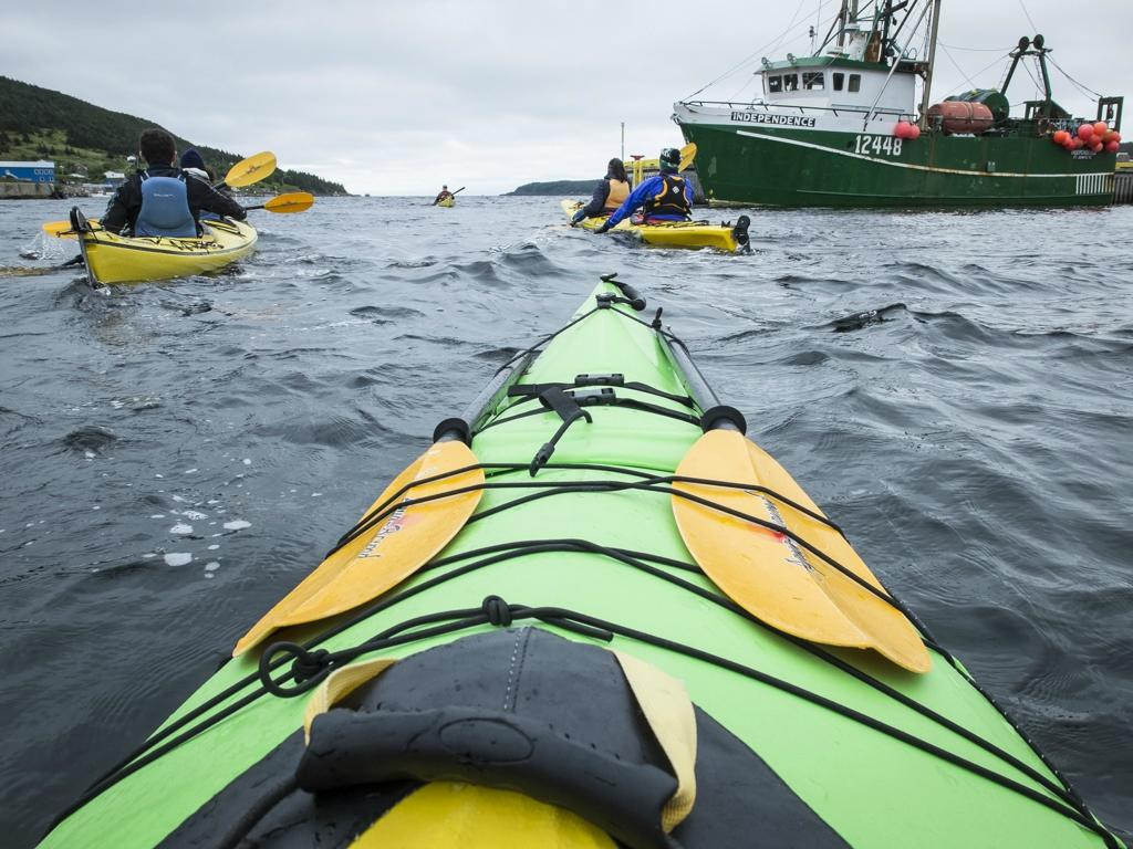 The Outfitters Adventures-Bay Bulls必去景点