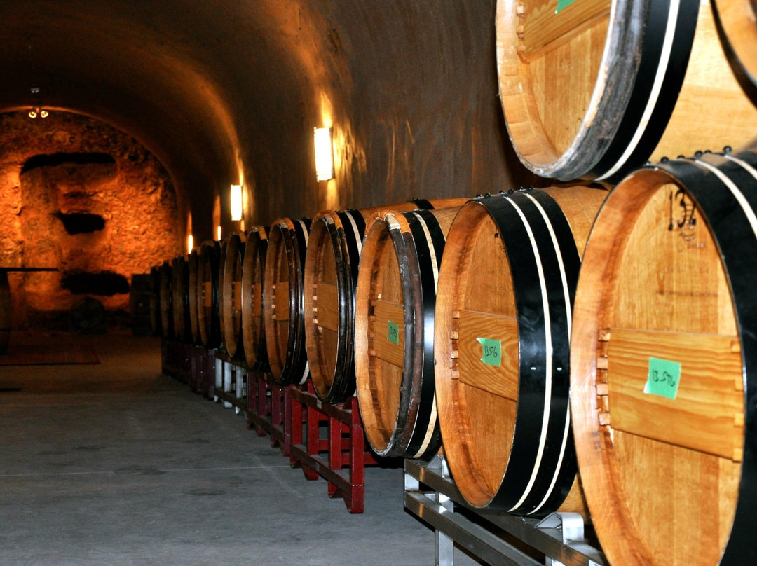 Tom Eddy Winery景点图片