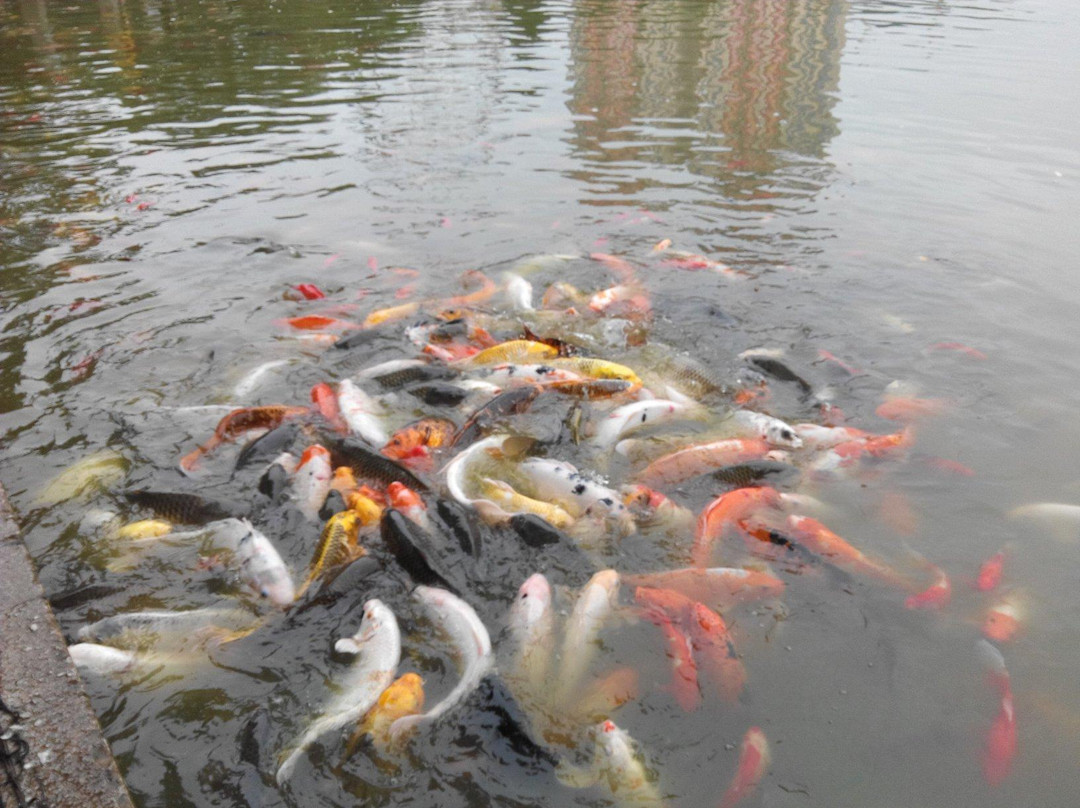 麒麟公园-曲靖市必去景点