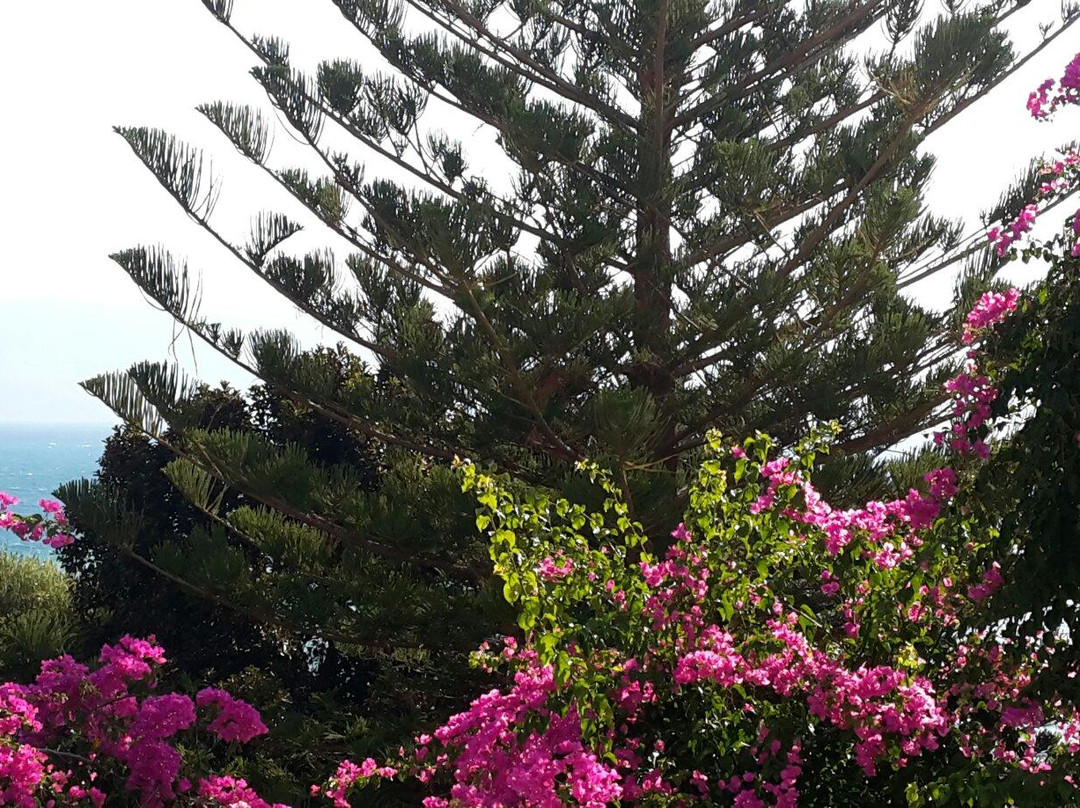 Delfini Hotel Apartments Crete主图