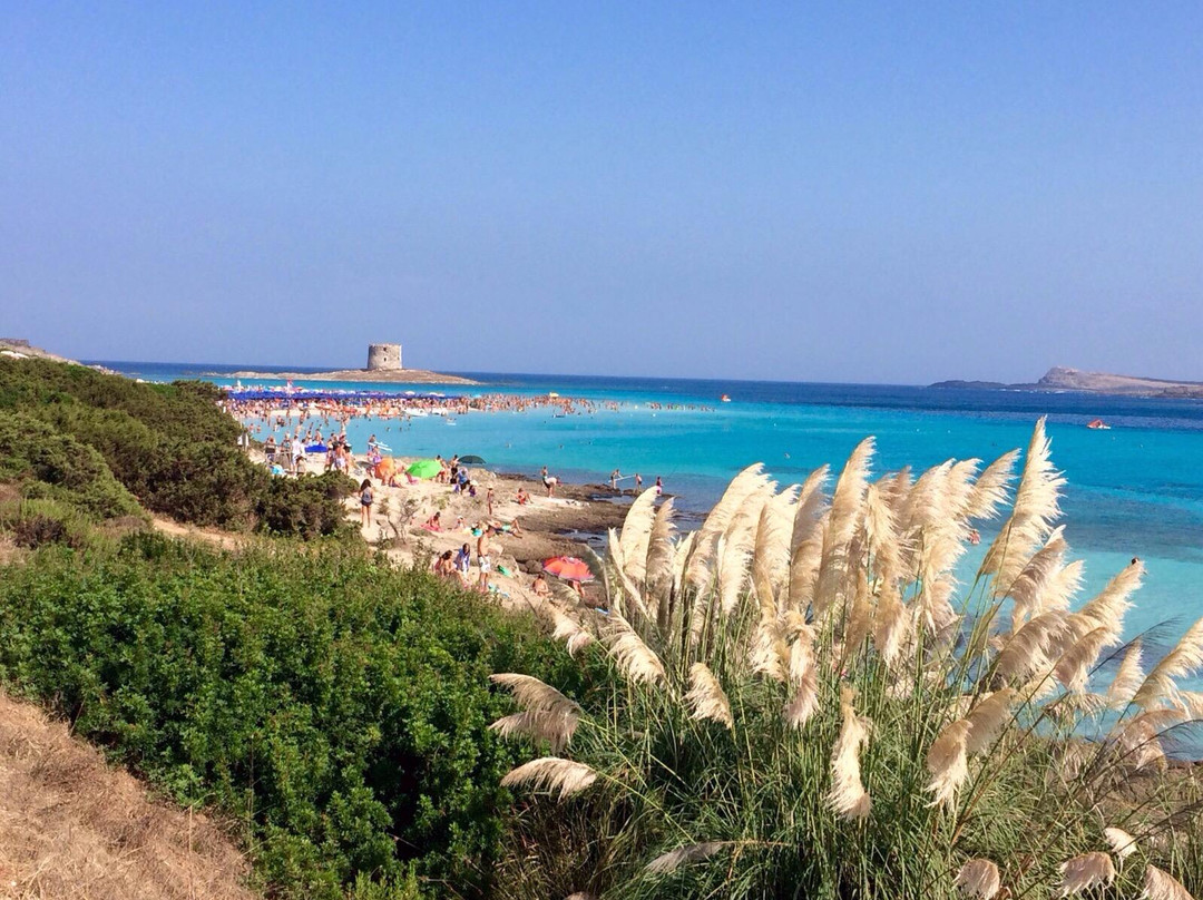 Punta de su Torrione酒店住宿-Domo Sul Porto