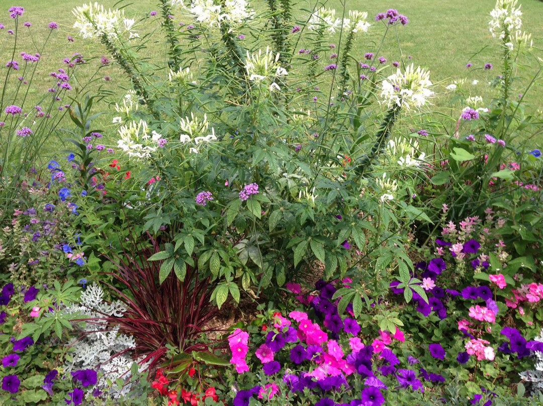 Musee Bossuet-莫城必去景点