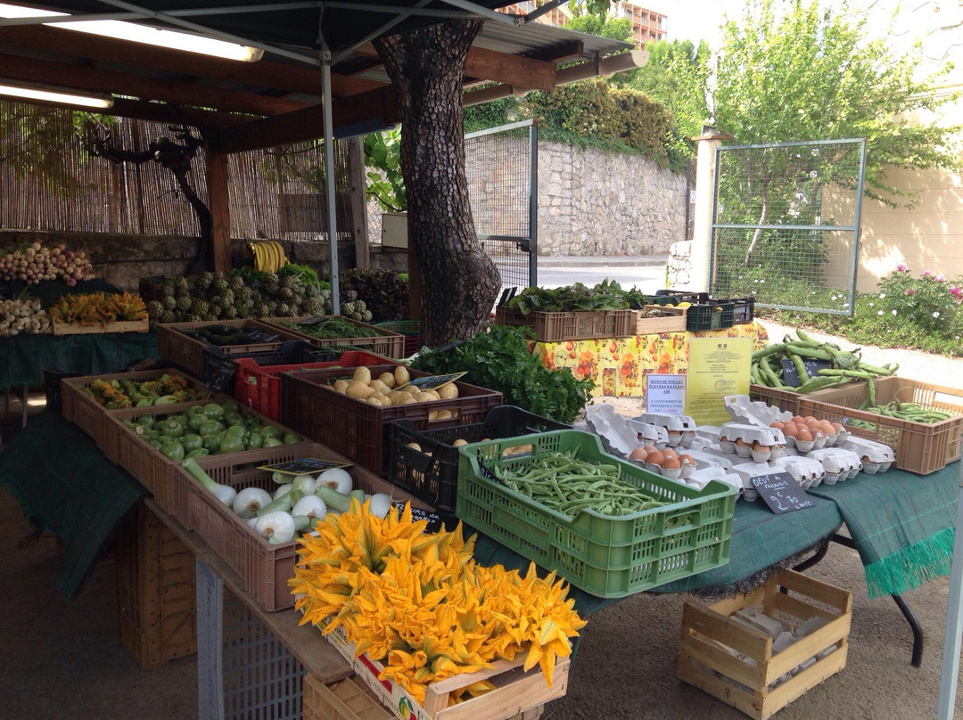 marché fermier chez BRES-Golfe-Juan Vallauris必去景点