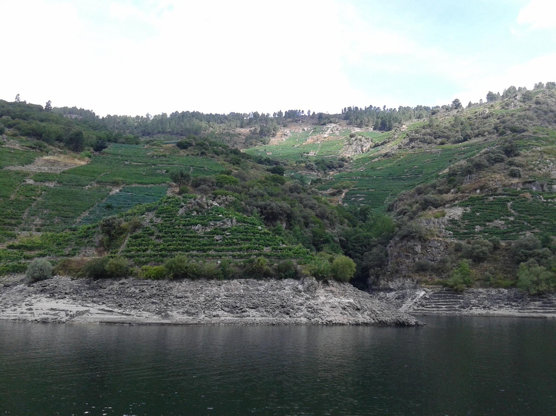 Algueira winery-Sober必去景点