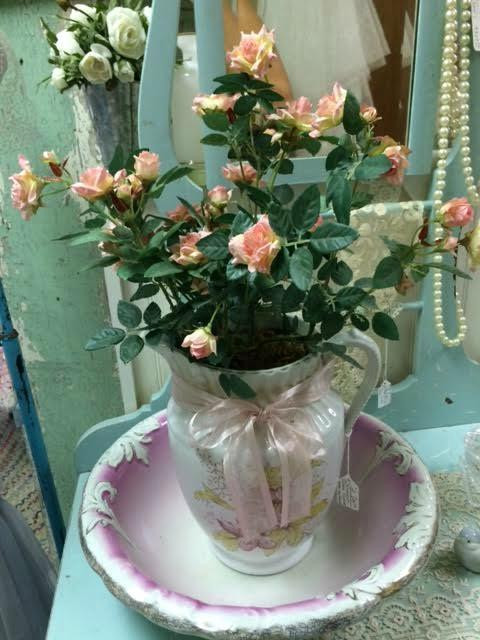 The Vintage Garden-阿卡迪亚必去景点