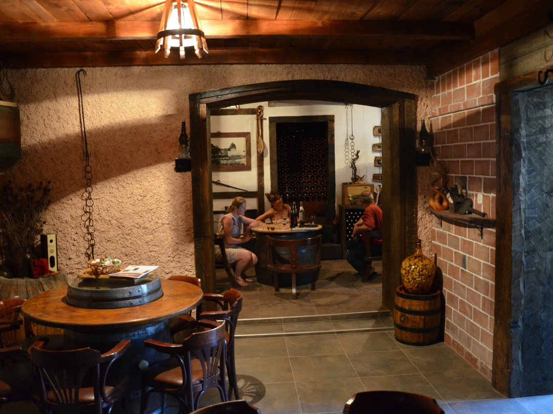 Wine tasting - Winery Masanovic-维尔巴札拉必去景点