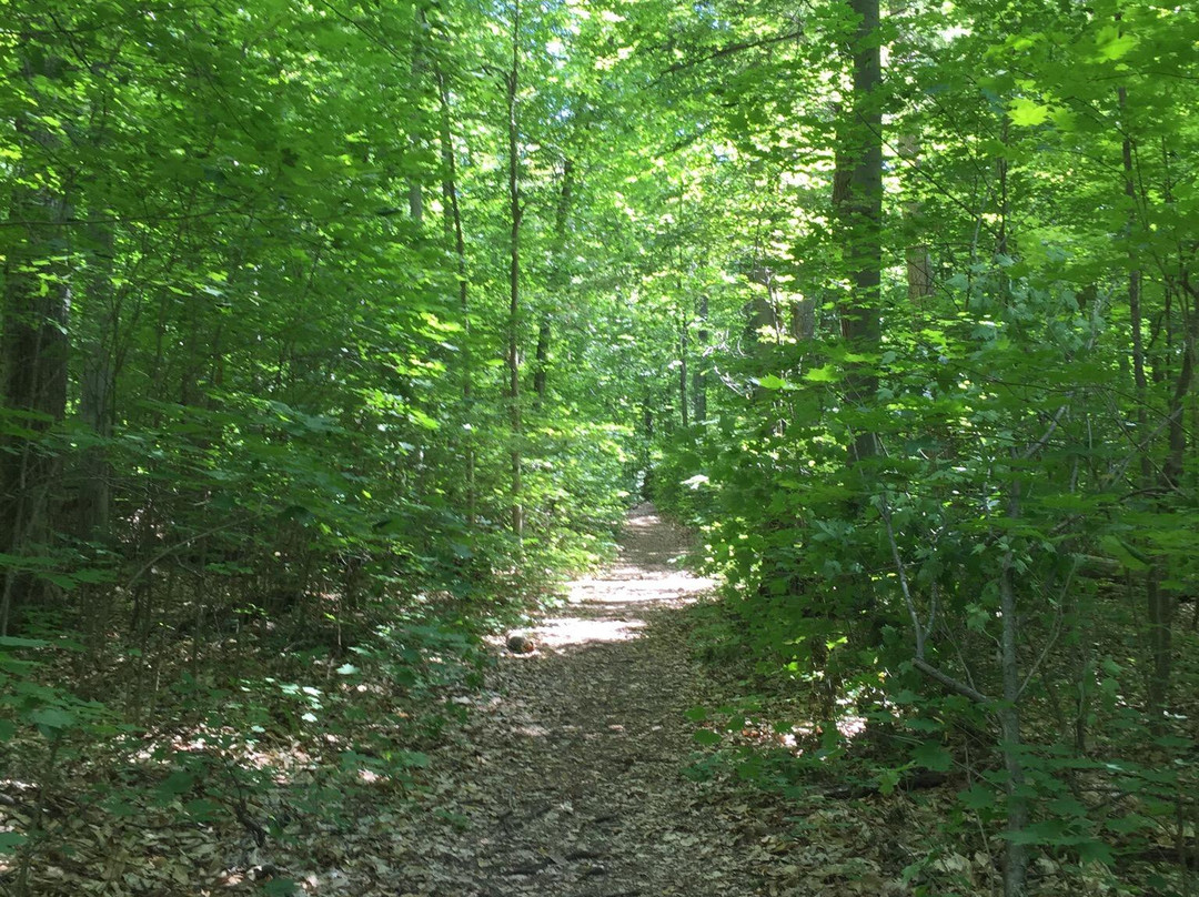 Shaw Woods Outdoor Education Centre景点图片