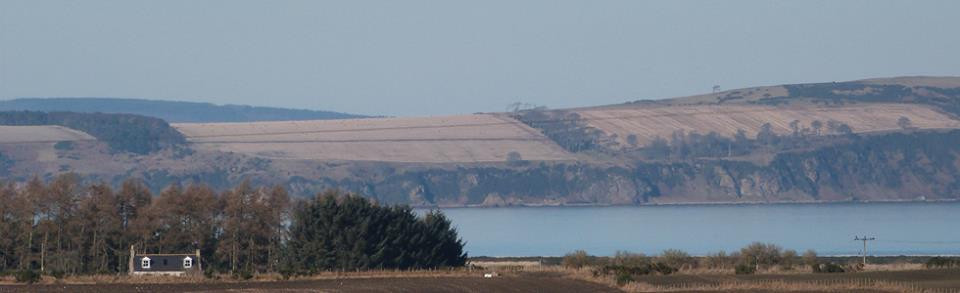 The Croft At Cranford主图