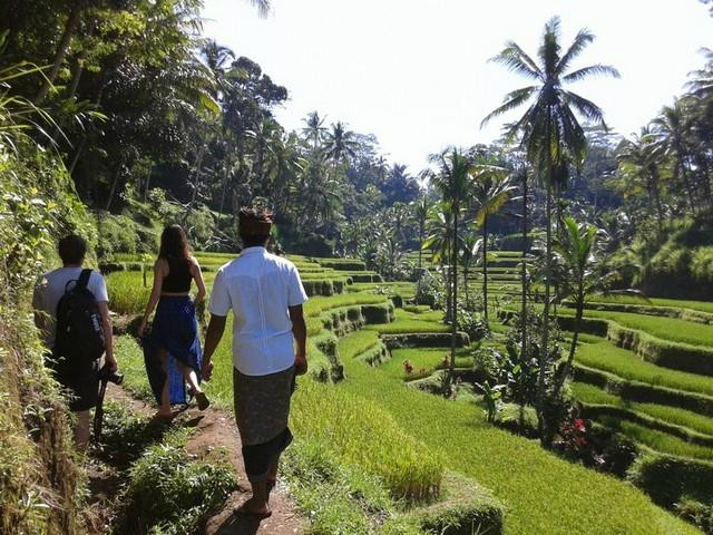 Bali Cultural & Eco Tours景点图片
