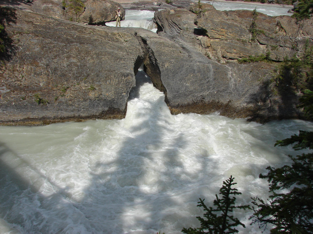 Kicking Horse River-戈尔登必去景点