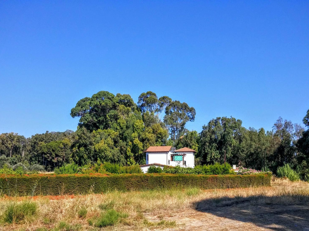 Prodromi旅游景点-Viva Polis