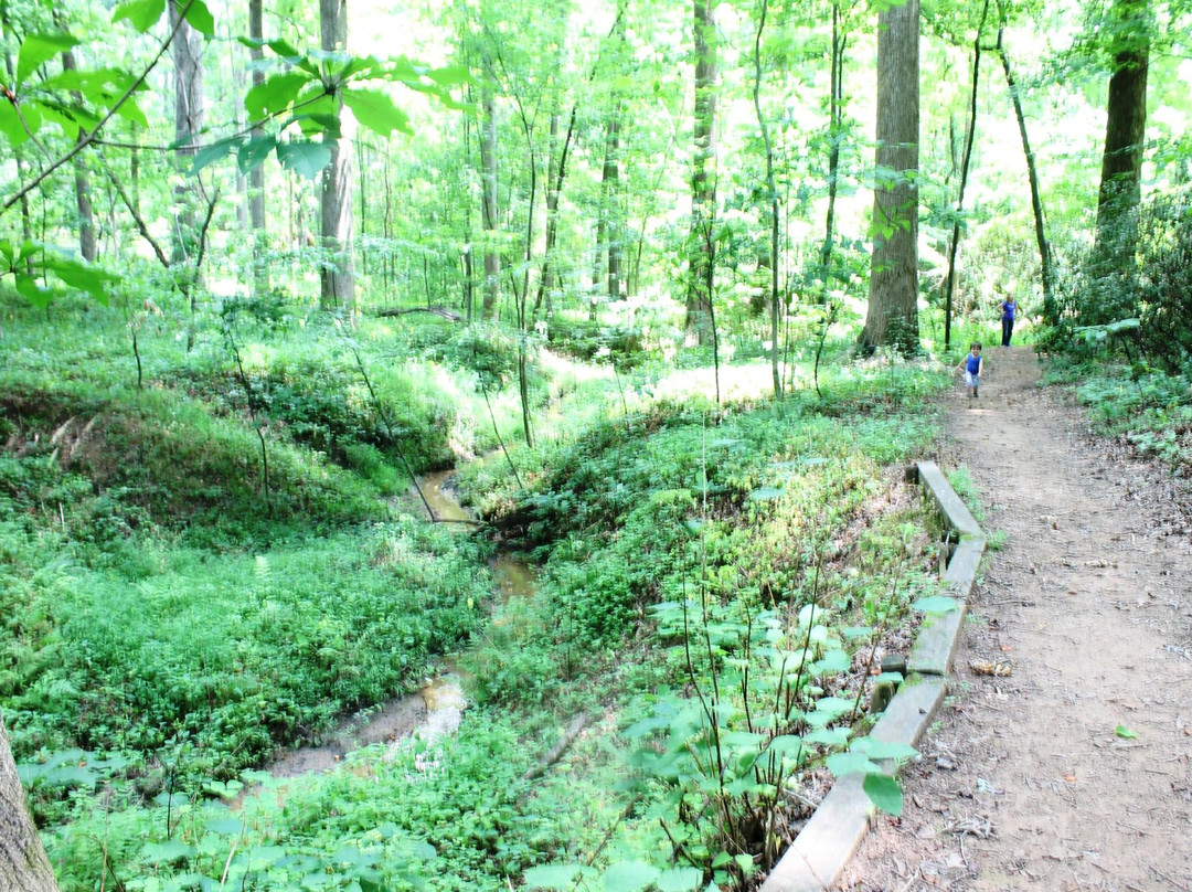 Reynolds Nature Preserve-Morrow必去景点