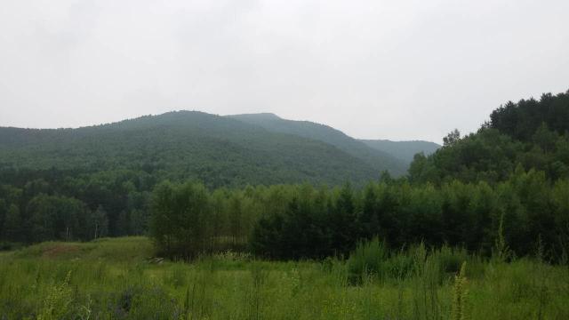 美林谷凯莱度假酒店-客卧