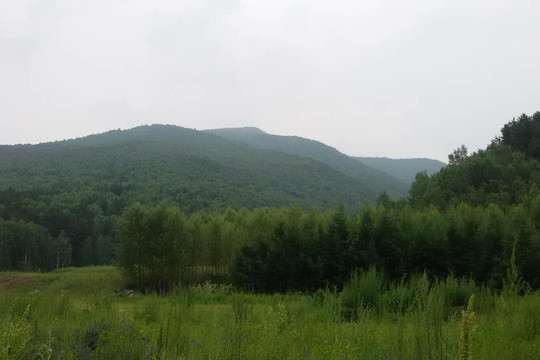 美林谷凯莱度假酒店主图