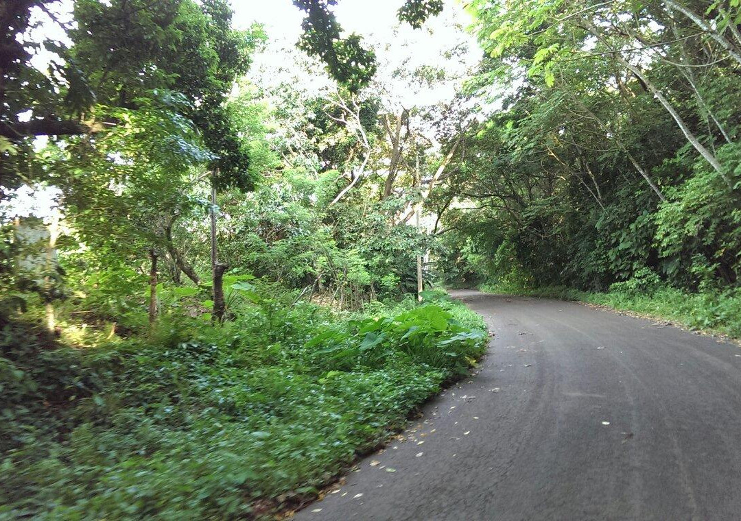 Barra de Sontecomapan景点图片