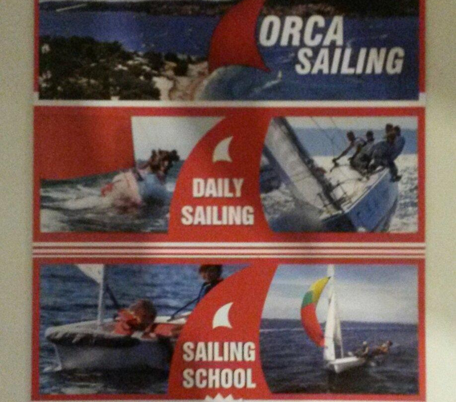 Orca Sailing景点图片
