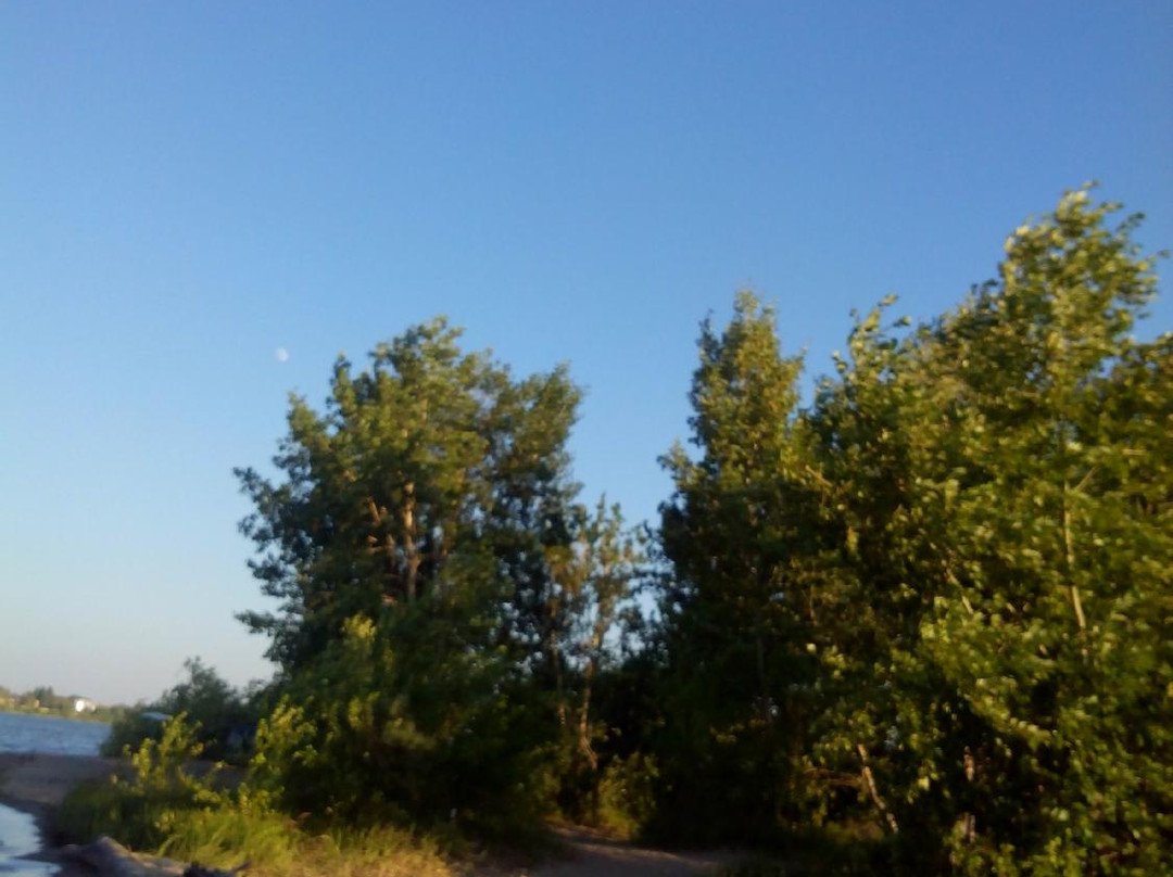 Citi Park Berskaya Kosa景点图片