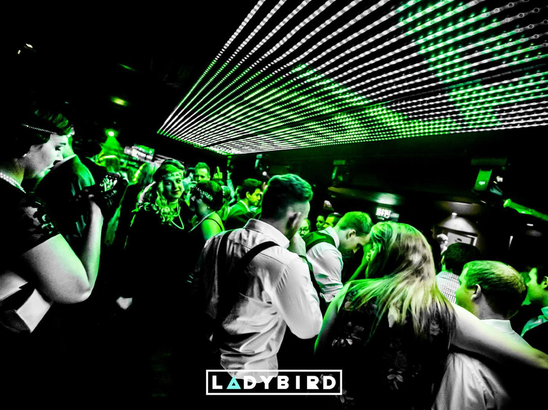 Ladybird景点图片