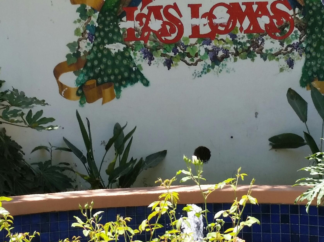 Rancho Las Lomas Wildlife Foundation-Silverado必去景点