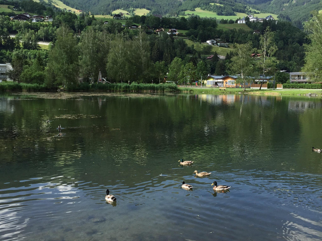 Nationalparkzentrum Mittersill-米特西尔必去景点