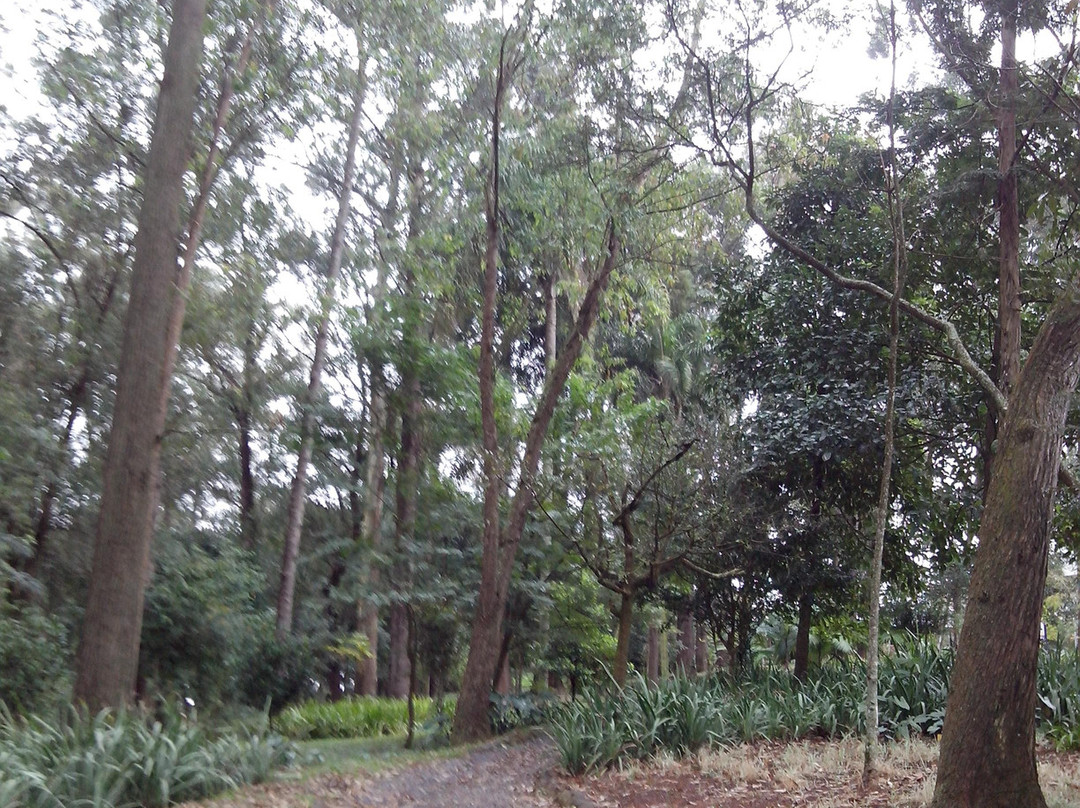 Chácara Silvestre-圣贝尔纳多-杜坎普必去景点