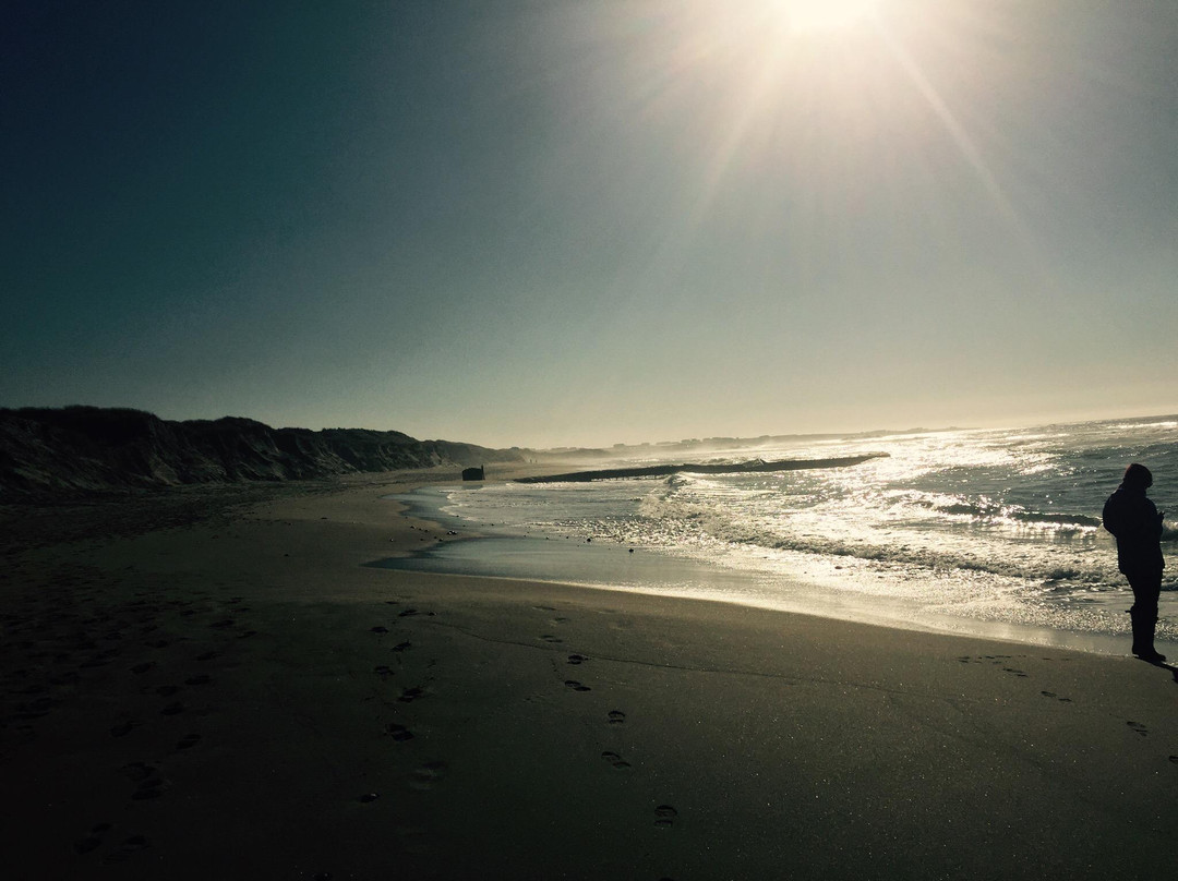 Borestranden Beach-Kleppe必去景点