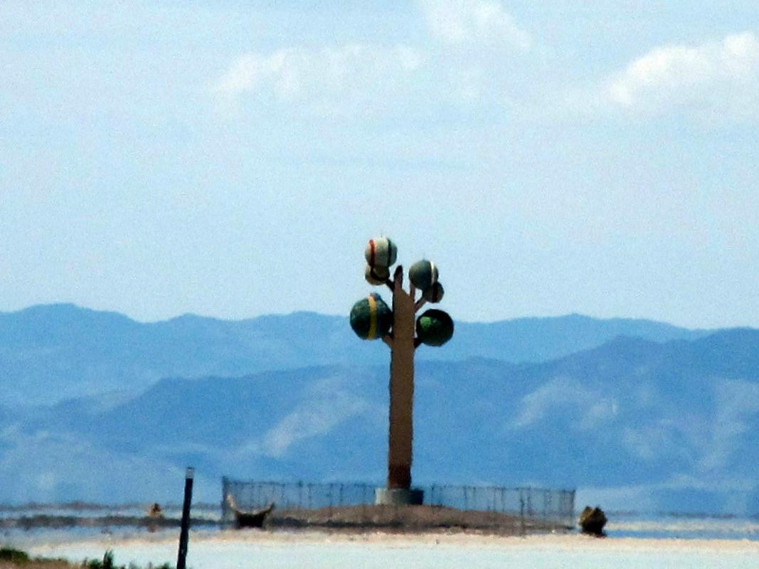 Metaphor - Tree of Utah-温多弗必去景点