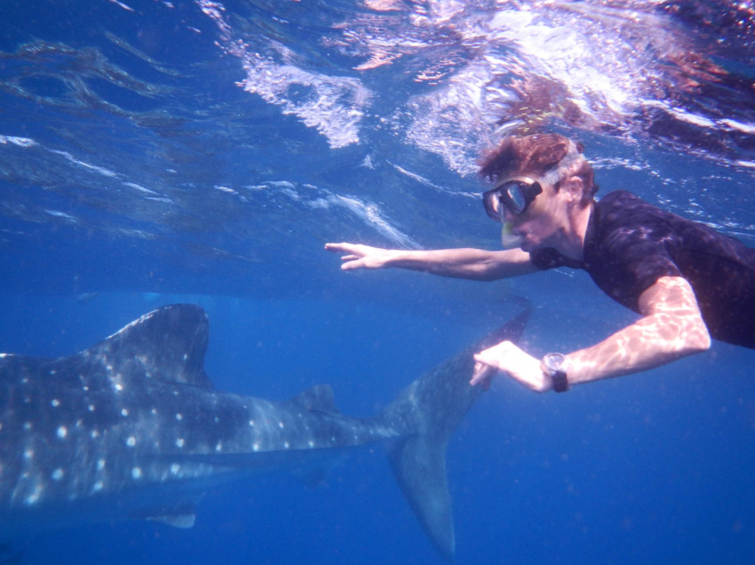 Buceo Xtabay-从莫雷洛斯港必去景点