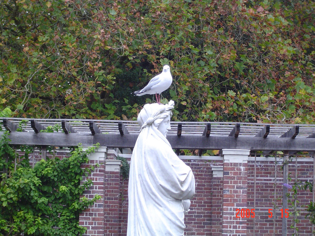 Winter Garden Auckland Domain-奥克兰中心地区必去景点