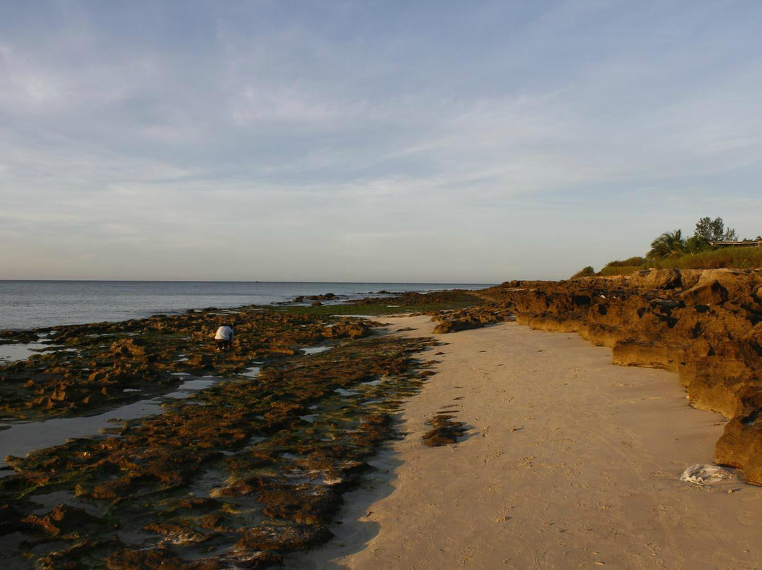 Wimbe Beach-彭巴必去景点